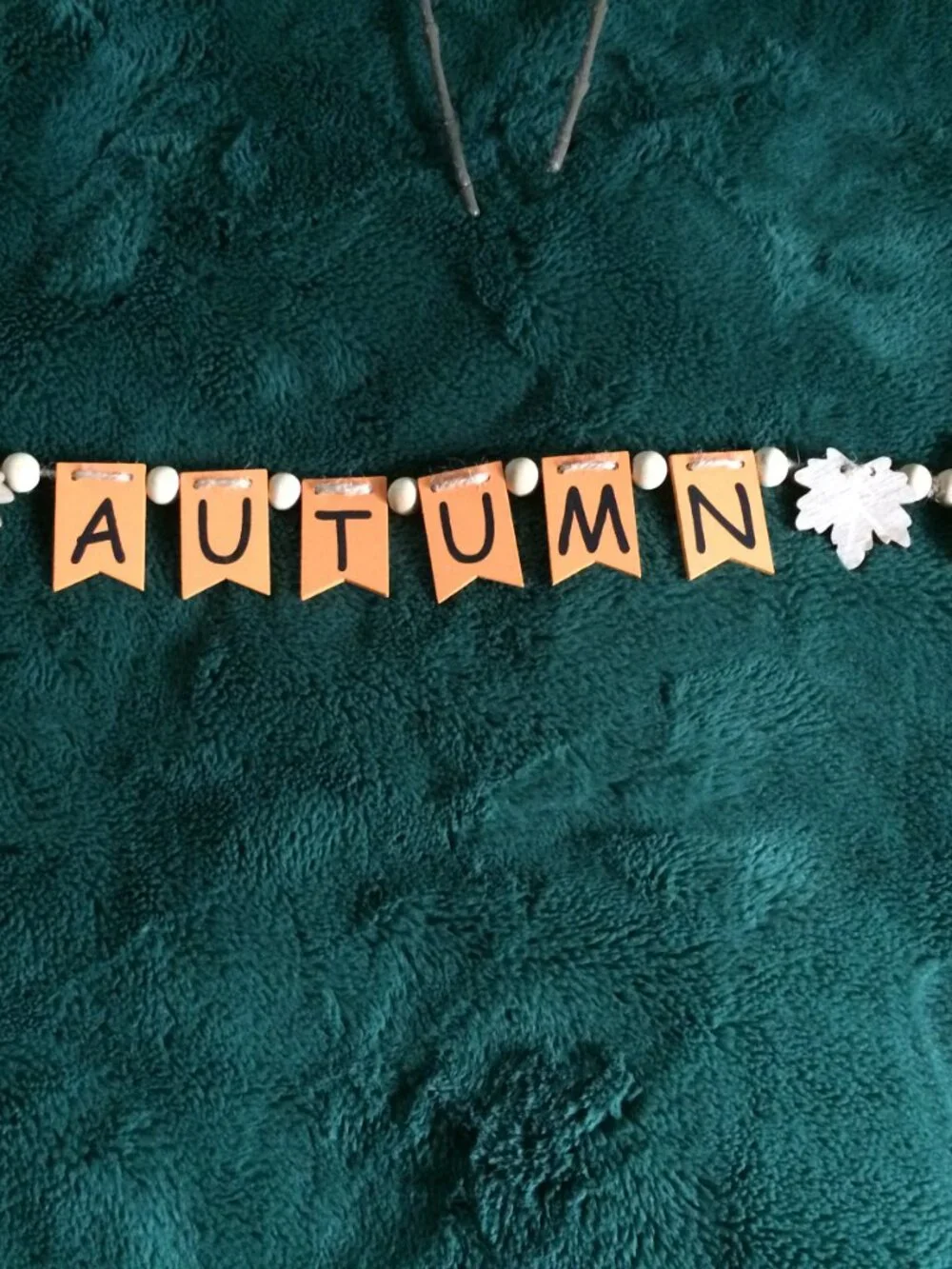 Robert Stanley Fall Classics Towels & Decorations